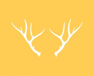 antler2